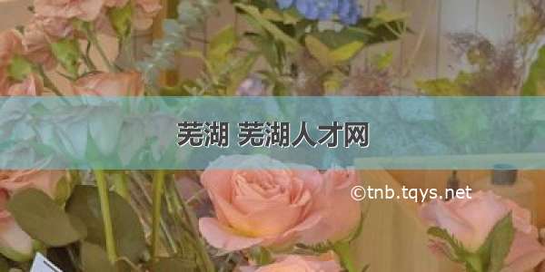 芜湖 芜湖人才网