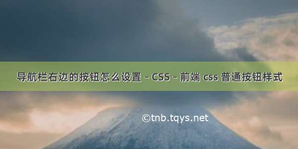 导航栏右边的按钮怎么设置 – CSS – 前端 css 普通按钮样式