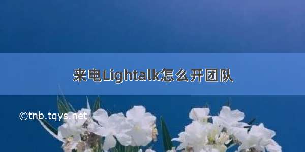 来电Lightalk怎么开团队