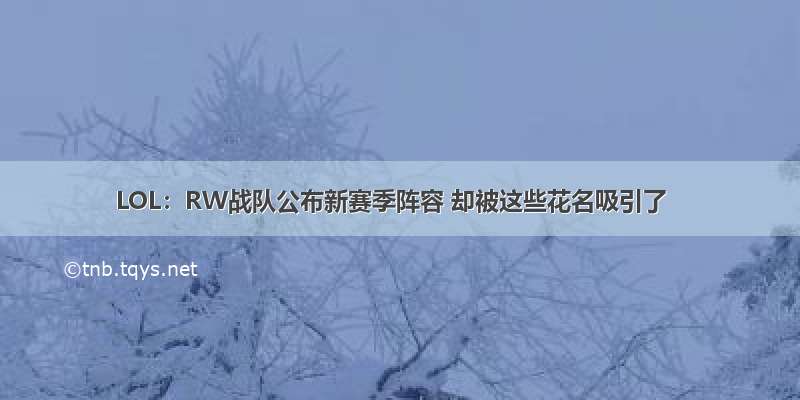 LOL：RW战队公布新赛季阵容 却被这些花名吸引了