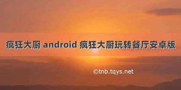 疯狂大厨 android 疯狂大厨玩转餐厅安卓版