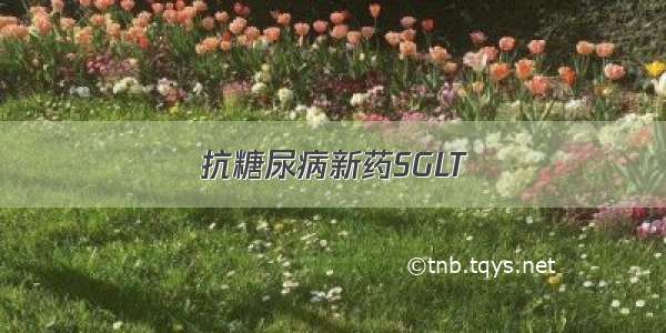 抗糖尿病新药SGLT