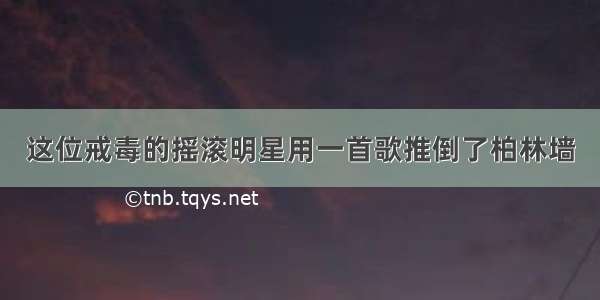 这位戒毒的摇滚明星用一首歌推倒了柏林墙