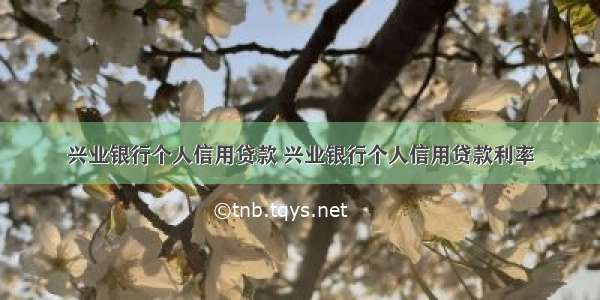 兴业银行个人信用贷款 兴业银行个人信用贷款利率