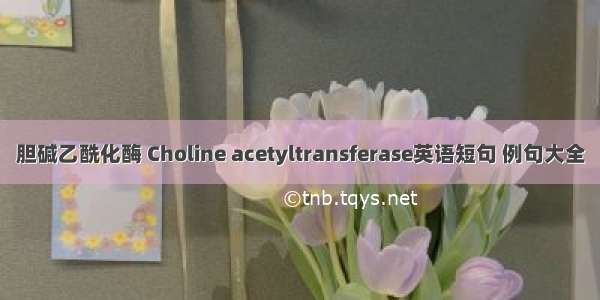 胆碱乙酰化酶 Choline acetyltransferase英语短句 例句大全