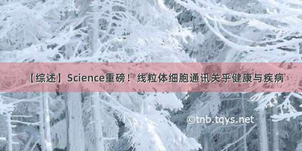 【综述】Science重磅！线粒体细胞通讯关乎健康与疾病