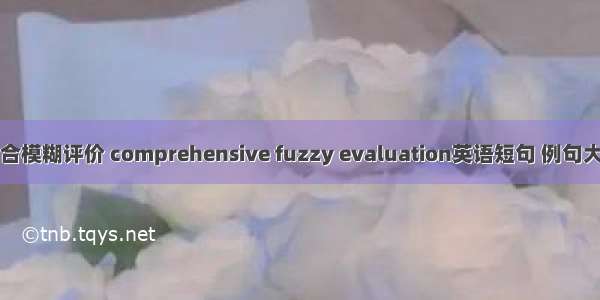 综合模糊评价 comprehensive fuzzy evaluation英语短句 例句大全