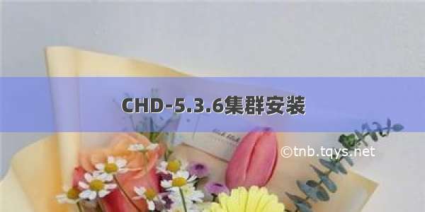 CHD-5.3.6集群安装