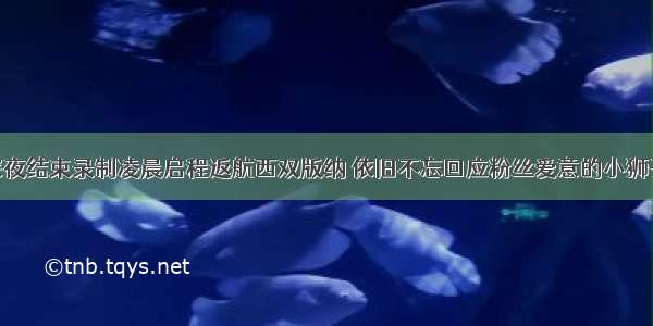 [娱乐新闻]深夜结束录制凌晨启程返航西双版纳 依旧不忘回应粉丝爱意的小狮子要平安喜乐