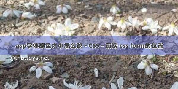 asp字体颜色大小怎么改 – CSS – 前端 css form的位置