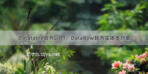 Datatable转为ListT / DataRow转为实体类对象