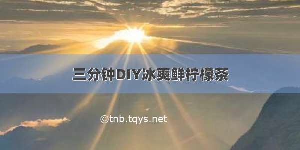 三分钟DIY冰爽鲜柠檬茶