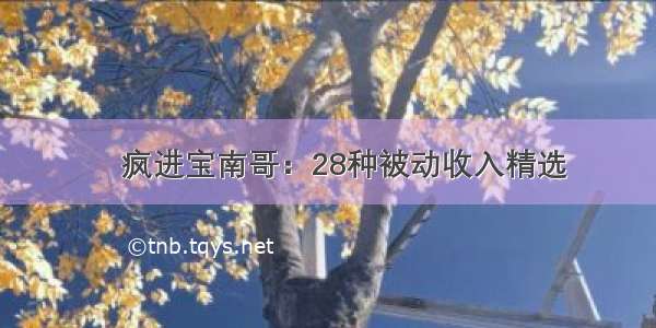 ​疯进宝南哥：28种被动收入精选