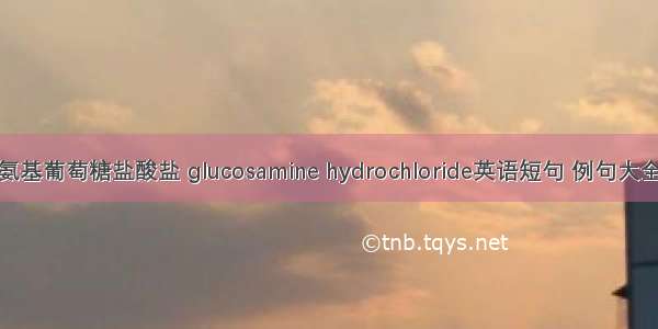 氨基葡萄糖盐酸盐 glucosamine hydrochloride英语短句 例句大全