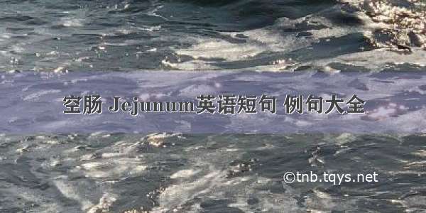 空肠 Jejunum英语短句 例句大全