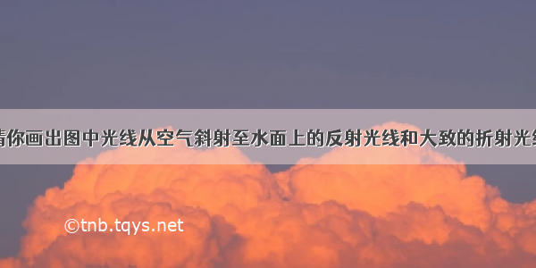 请你画出图中光线从空气斜射至水面上的反射光线和大致的折射光线．