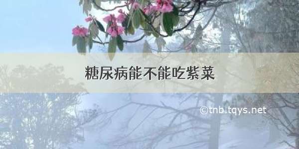 糖尿病能不能吃紫菜