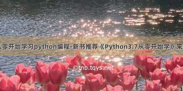 从零开始学习python编程-新书推荐《Python3.7从零开始学》来了