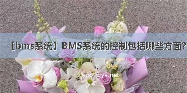 【bms系统】BMS系统的控制包括哪些方面?