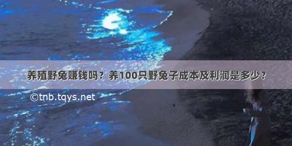 养殖野兔赚钱吗？养100只野兔子成本及利润是多少？