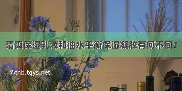 清爽保湿乳液和油水平衡保湿凝胶有何不同？