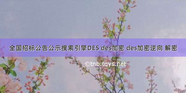 全国招标公告公示搜索引擎DES des加密 des加密逆向 解密