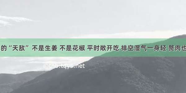 ​湿气的“天敌” 不是生姜 不是花椒 平时敞开吃 排空湿气一身轻 赘肉也掉了！