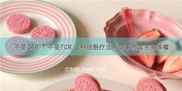 不是CAR-T 不是TCR 这种细胞疗法有望率先攻克实体瘤