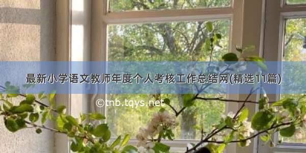 最新小学语文教师年度个人考核工作总结网(精选11篇)