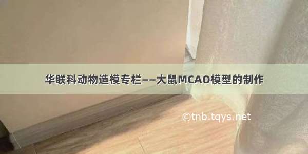 华联科动物造模专栏——大鼠MCAO模型的制作