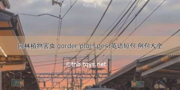 园林植物害虫 garden plant pest英语短句 例句大全