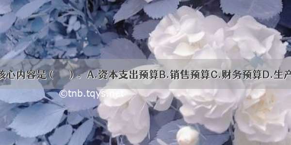 全面预算的核心内容是（　　）。A.资本支出预算B.销售预算C.财务预算D.生产预算ABCD