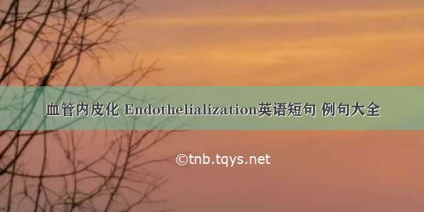 血管内皮化 Endothelialization英语短句 例句大全