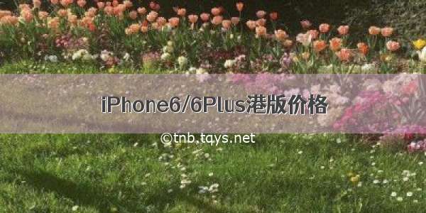 iPhone6/6Plus港版价格