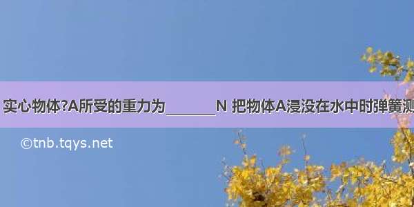 如图甲所示 实心物体?A所受的重力为________N 把物体A浸没在水中时弹簧测力计的示数