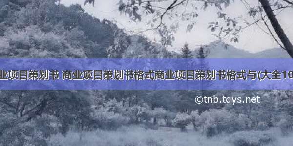 商业项目策划书 商业项目策划书格式商业项目策划书格式与(大全10篇)