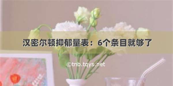 汉密尔顿抑郁量表：6个条目就够了