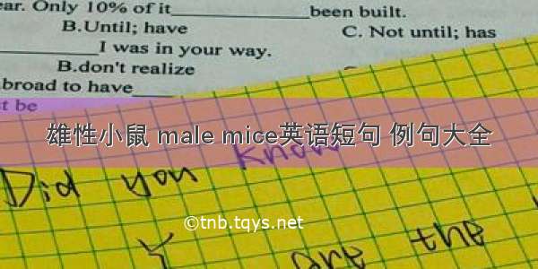 雄性小鼠 male mice英语短句 例句大全