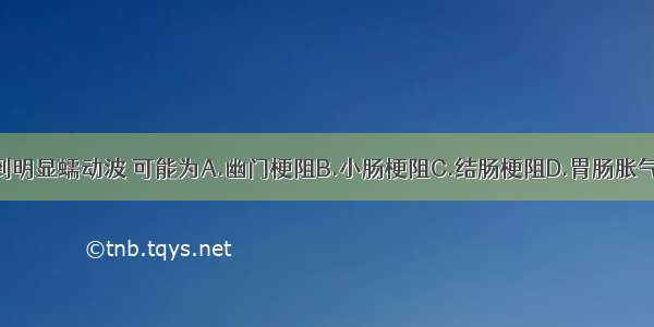 上腹部可见到明显蠕动波 可能为A.幽门梗阻B.小肠梗阻C.结肠梗阻D.胃肠胀气E.胆道蛔虫