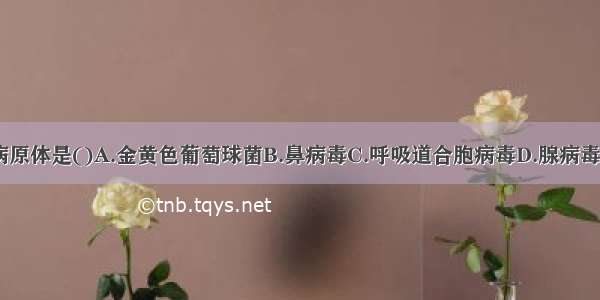 毛细支气管炎的病原体是()A.金黄色葡萄球菌B.鼻病毒C.呼吸道合胞病毒D.腺病毒E.支原体ABCDE