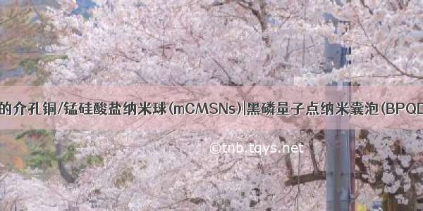 细胞膜包覆的介孔铜/锰硅酸盐纳米球(mCMSNs)|黑磷量子点纳米囊泡(BPQD-CCNVs)