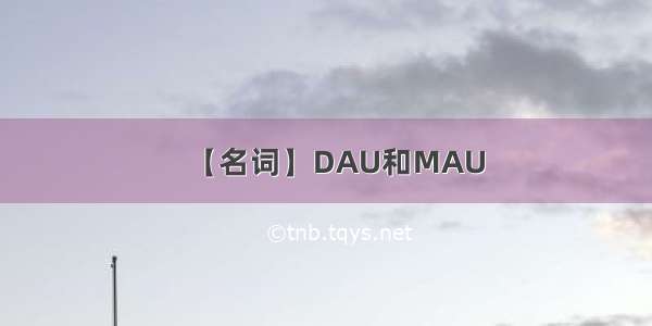 【名词】DAU和MAU