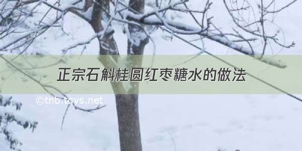 正宗石斛桂圆红枣糖水的做法