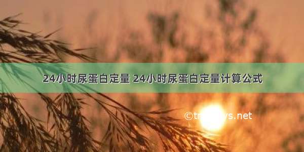 24小时尿蛋白定量 24小时尿蛋白定量计算公式