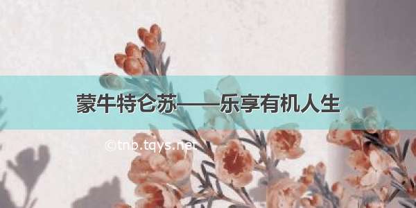 蒙牛特仑苏——乐享有机人生