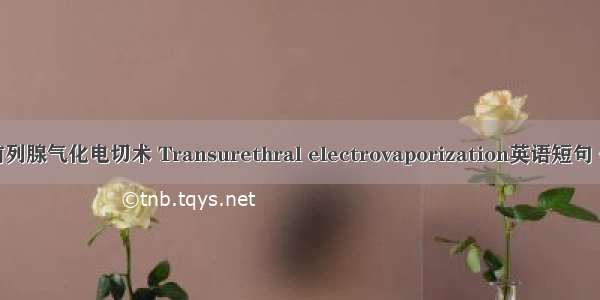 经尿道前列腺气化电切术 Transurethral electrovaporization英语短句 例句大全