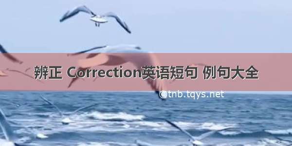 辨正 Correction英语短句 例句大全