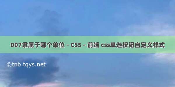 007隶属于哪个单位 – CSS – 前端 css单选按钮自定义样式