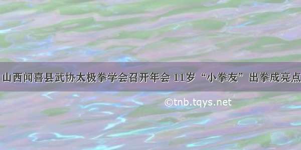 山西闻喜县武协太极拳学会召开年会 11岁“小拳友”出拳成亮点