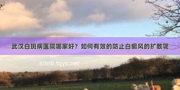 武汉白斑病医院哪家好？如何有效的防止白癜风的扩散呢